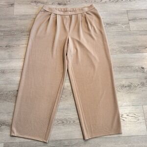 J.Jill Wearever Pleated Trouser Pants Size Xlarge XL Light Toffee Ottoman